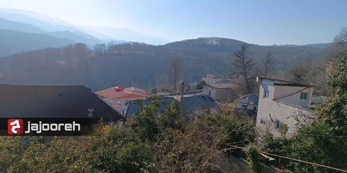 اقامتگاه باغ فردوس با ویو جنگل