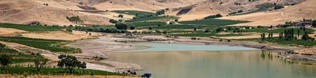 اجاره ویلا و سوئیت در کامیاران