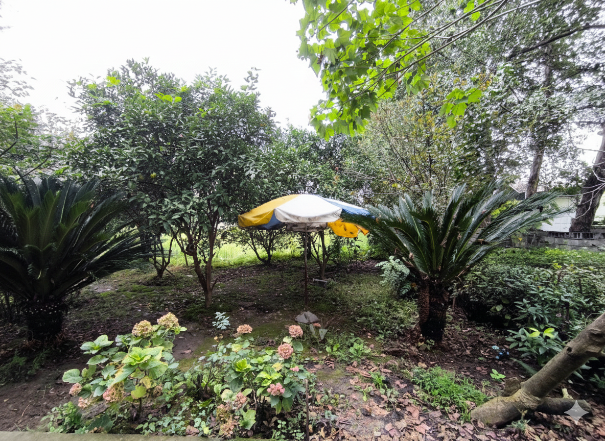 اجاره ویلا باغ دنج در چالوس