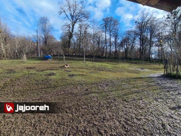 اجاره خونه باغ جنگلی در بابل