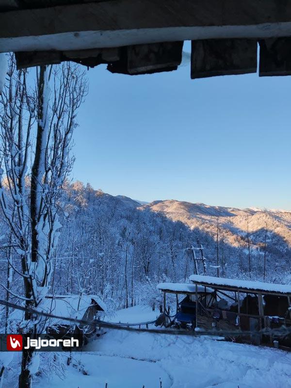 اجاره خونه باغ جنگلی در بابل